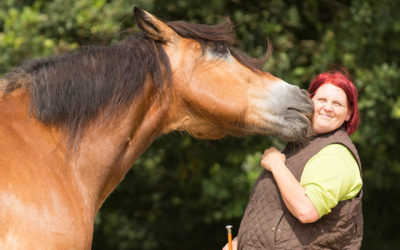 The emotion of the horse matters