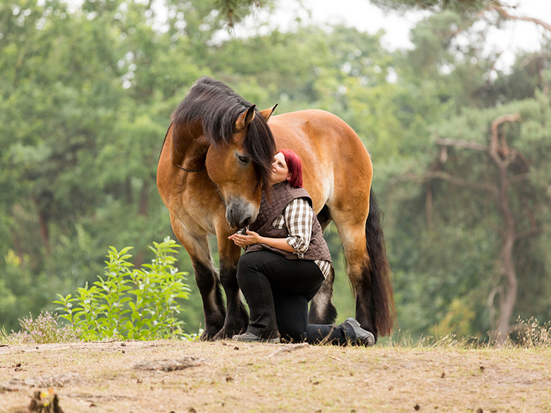 Sylvia Czarnecki – Positive reinforcement from the depth of the heart