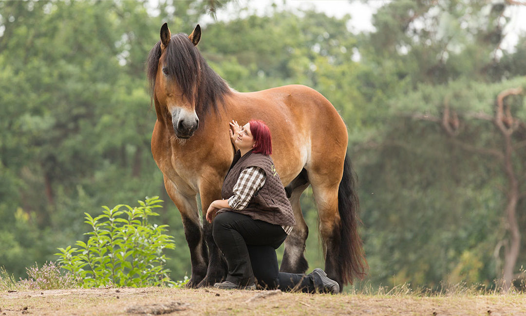 Motionclick.de – Emotionally focused horse training with Sylvia Czarnecki