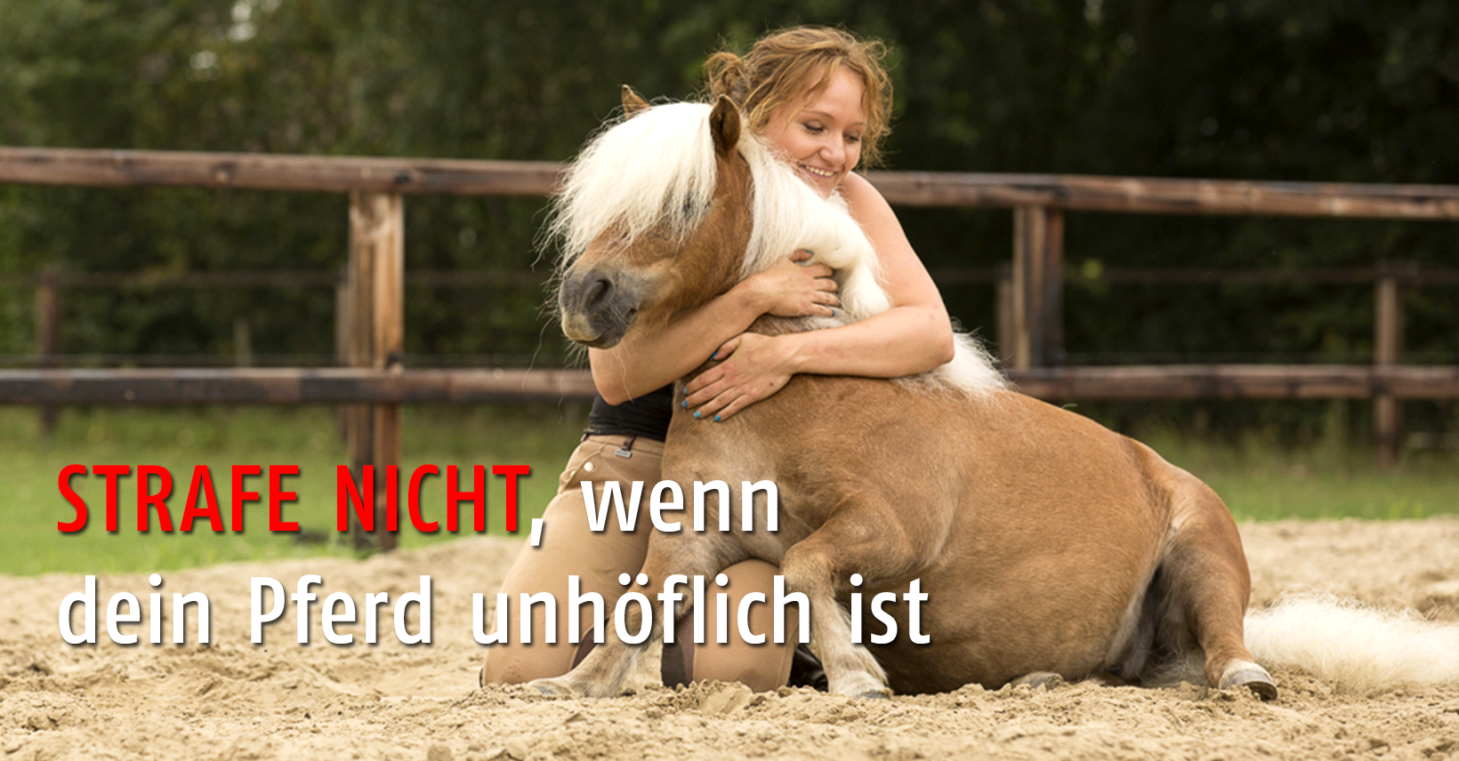 STRAFE NICHT, wenn dein Pferd unhöflich ist