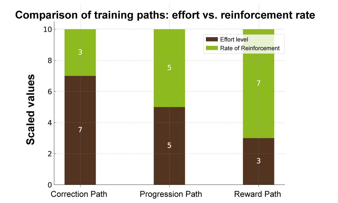 Graphical representation of the training paths in comparison.